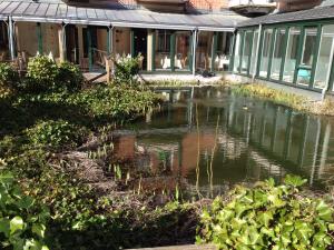凯沃拉尔凯沃拉尔花园酒店的一座有鸭子的建筑前的池塘