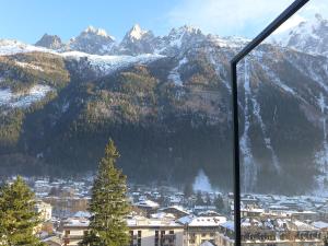 夏蒙尼-勃朗峰夏蒙尼莫扎迪斯公寓的从窗户可欣赏到白雪 ⁇ 的山脉景色