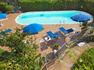 马萨罗萨Apartment Alice by Interhome的享有带遮阳伞和椅子的游泳池的顶部景致