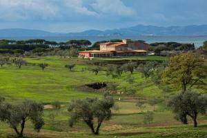 福洛尼卡Riva Toscana Golf Resort & SPA的山丘上树木林立的房子