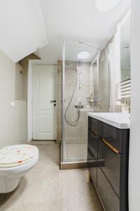 布拉索夫Old City Lux 2的带淋浴、卫生间和盥洗盆的浴室