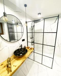 ZalesieDom Malowy Sad的一间带水槽和镜子的浴室