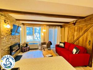 蓝山Rustic Mountainside Chalet的客厅配有红色沙发和电视