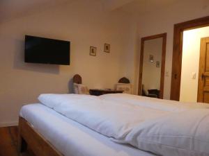 罗滕堡拜耶里切霍夫酒店的一间卧室设有两张床,墙上设有一台平面电视。