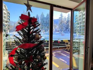 波亚纳布拉索夫The Evergreen Nest - Silver Mountain的窗前的圣诞树