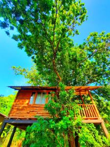 达瓦拉维La Casa Safari Resort的树屋,有甲板和树