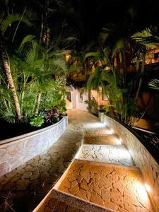 坦波Hotel Costa Coral的一条棕榈树和灯光的夜间步道