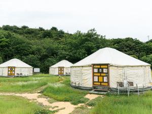 直岛町直島町ふるさと海の家 つつじ荘 -SeaSide Park Stay Tsutsujiso-的一群在树丛中的帐篷