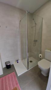 马拉加Apartamento Golddem City的带淋浴和卫生间的浴室