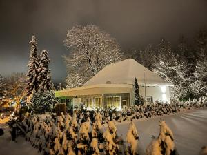 博登斯多夫Bambu Lodge @ Ossiachersee的一群鸟在建筑物前的雪中