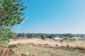 Luxe Tiny House op de Veluwe