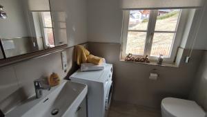 隆高地区圣玛格丽滕Appartements Fanny的一间带水槽和洗衣机的浴室
