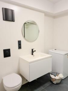 巴特萨罗皮斯库夫Ferienwohnung Maja-Katharina的白色的浴室设有卫生间和镜子
