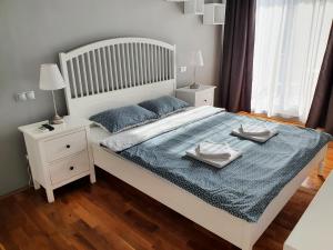 克卢日-纳波卡Traian Apartment - Cluj的一间卧室配有一张带蓝色毯子的大床