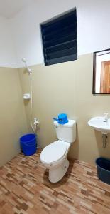 曼巴豪SJ Pabua Travellers Inn的一间带卫生间和水槽的浴室