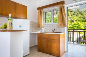劳德哈塔Stefanos Studios的厨房配有水槽、冰箱和窗户。