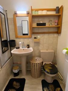 斯特拉斯堡Appartement Esplanade的一间带水槽、卫生间和镜子的浴室