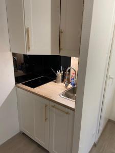 斯特拉斯堡Appartement Esplanade的厨房配有白色橱柜和水槽