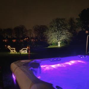 伊泽海姆Boutique Hotel Ter Wallen的夜晚在院子里的热水浴池里装有紫色灯
