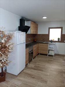 维辛达里奥Apartment Taliarte 36的厨房配有白色冰箱和木制橱柜。