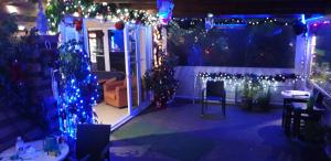 簇措罗斯圣乔吉奥酒店的一间设有圣诞灯和圣诞树的房间