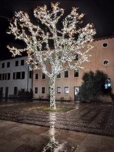 圣维托阿尔塔利亚门托奥斯特罗欧罗巴旅舍的建筑物前的一棵用灯光装饰的树