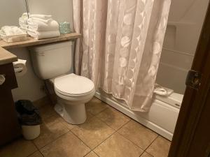 魁北克市蒙特克里斯托套房酒店的一间带卫生间和淋浴帘的浴室