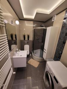 乔左维尔考普尔斯基Apartament Warszawska 26 - Klimatyzacja的带淋浴、卫生间和盥洗盆的浴室