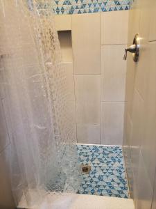 圣地亚哥Gaslamp Hostel的带淋浴的浴室和玻璃门