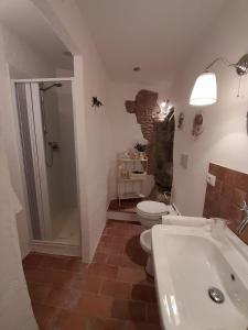 阿巴迪亚圣萨尔瓦托雷La Tana del Riccio的浴室配有卫生间、淋浴和盥洗盆。