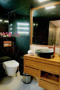 黑角Le Domaine du Rocher Noir的一间带水槽、卫生间和镜子的浴室