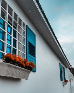 阿尔莎法Altaraf Resort的白色建筑上带蓝色百叶窗的窗户