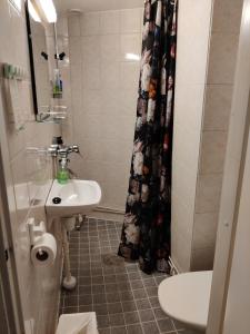 科特卡Hotelli Merikotka的一间带水槽和淋浴帘的浴室