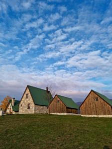 RudiniceEtno selo Izlazak的两个草地上带绿色屋顶的谷仓