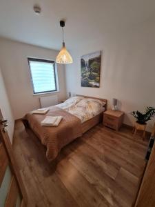 斯克拉斯卡波伦巴Apartament Familijny的一间卧室设有一张大床和一个窗户。