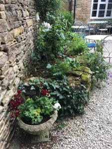 斯托昂泽沃尔德Lucy's Tearoom的花在石墙中的花园