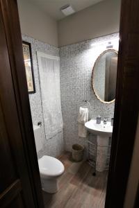 都灵La casa dell' artista的一间带卫生间、水槽和镜子的浴室