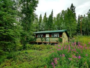 Northwoods Cottage Bed and Breakfast外面的花园