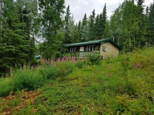 Northwoods Cottage Bed and Breakfast外面的花园