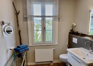 博帕德RHEIN-SUITES BOPPARD的一间带水槽和卫生间的浴室以及窗户。