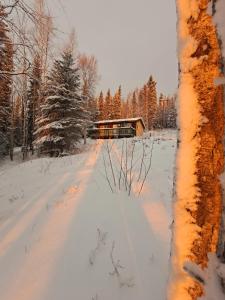 费尔班克斯Northwoods Cottage Bed and Breakfast的一条有雪覆盖的道路,后面有一座建筑