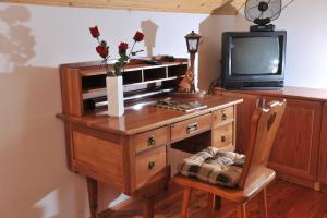 Šmarje pri JelšahVineyard Cottage Keglic的一张木桌、一台电视和一个花瓶