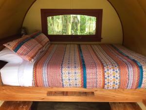 格雷敦Greytown Campground的窗户客房内的一张床位
