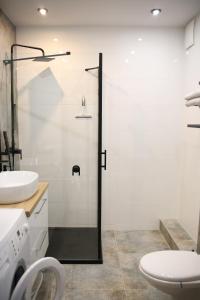 格但斯克P&K Motlawa Apartment的带淋浴、卫生间和盥洗盆的浴室