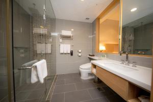 光州光州假日酒店的一间带水槽、卫生间和淋浴的浴室