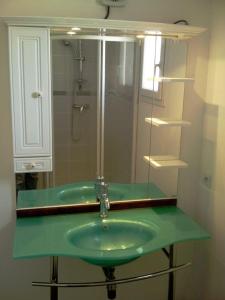 埃尔讷Proche mer appartement avec jardin,place parking.的一间带绿色水槽和镜子的浴室
