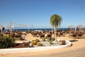 美洲海滩科尔特斯别墅GL欧洲酒店的海滩上设有躺椅,棕榈树和大海