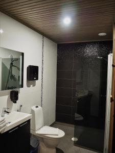 卡拉约基Safarimajoitus的带淋浴、卫生间和盥洗盆的浴室