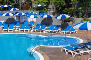 拉克鲁斯卡萨布兰卡公寓的一个带蓝色椅子和遮阳伞的游泳池