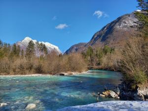 博维茨Guest house Vila Korošec的享有山脉背景的河流美景